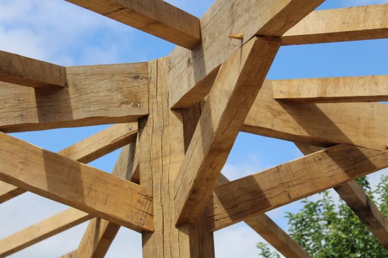 oak2